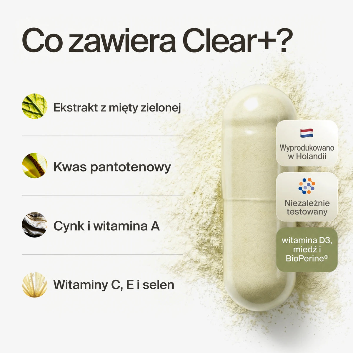 clearday gallery (pl)
