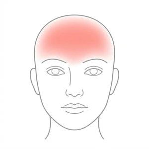Forehead